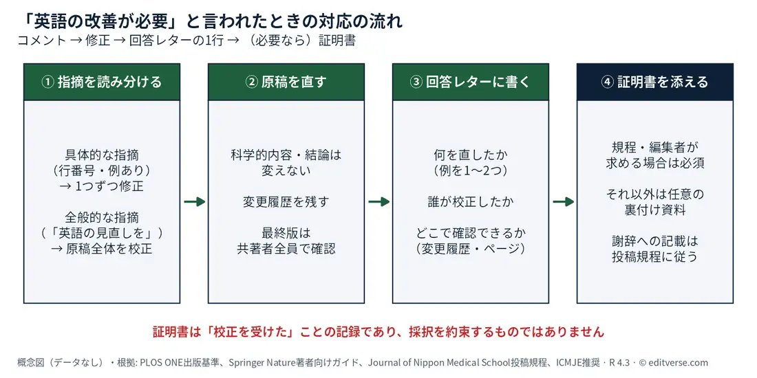 査読で英語の改善を求められたときの4ステップの流れ図。①指摘を読み分ける（具体的な指摘は1つずつ修正、全般的な指摘は原稿全体を校正）、②原稿を直す（科学的内容・結論は変えない、変更履歴を残す、最終版は共著者全員で確認）、③回答レターに書く（何を直したか、誰が校正したか、どこで確認できるか）、④証明書を添える（規程やエディターが求める場合は必須、それ以外は任意の裏付け資料）。証明書は校正を受けた記録であり、採択を約束するものではない（数値を含まない概念図）