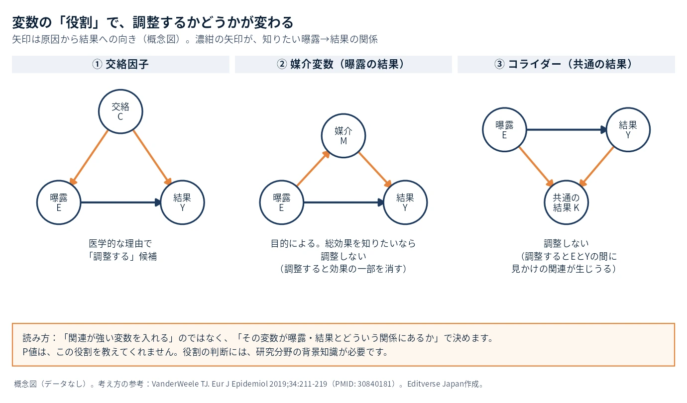 交絡因子・媒介因子・合流点(コライダー)の関係を示す概念図。調整すべき変数と、調整してはいけない変数の違い